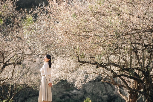 Mộc Châu 2 Ngày 1 Đêm